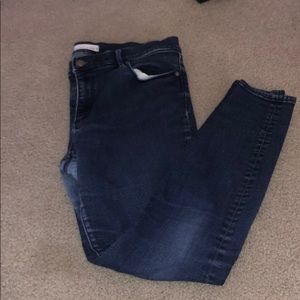 Loft jeans
